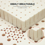 Latex Orthopaedic Mattress - 7.5cm Thick
