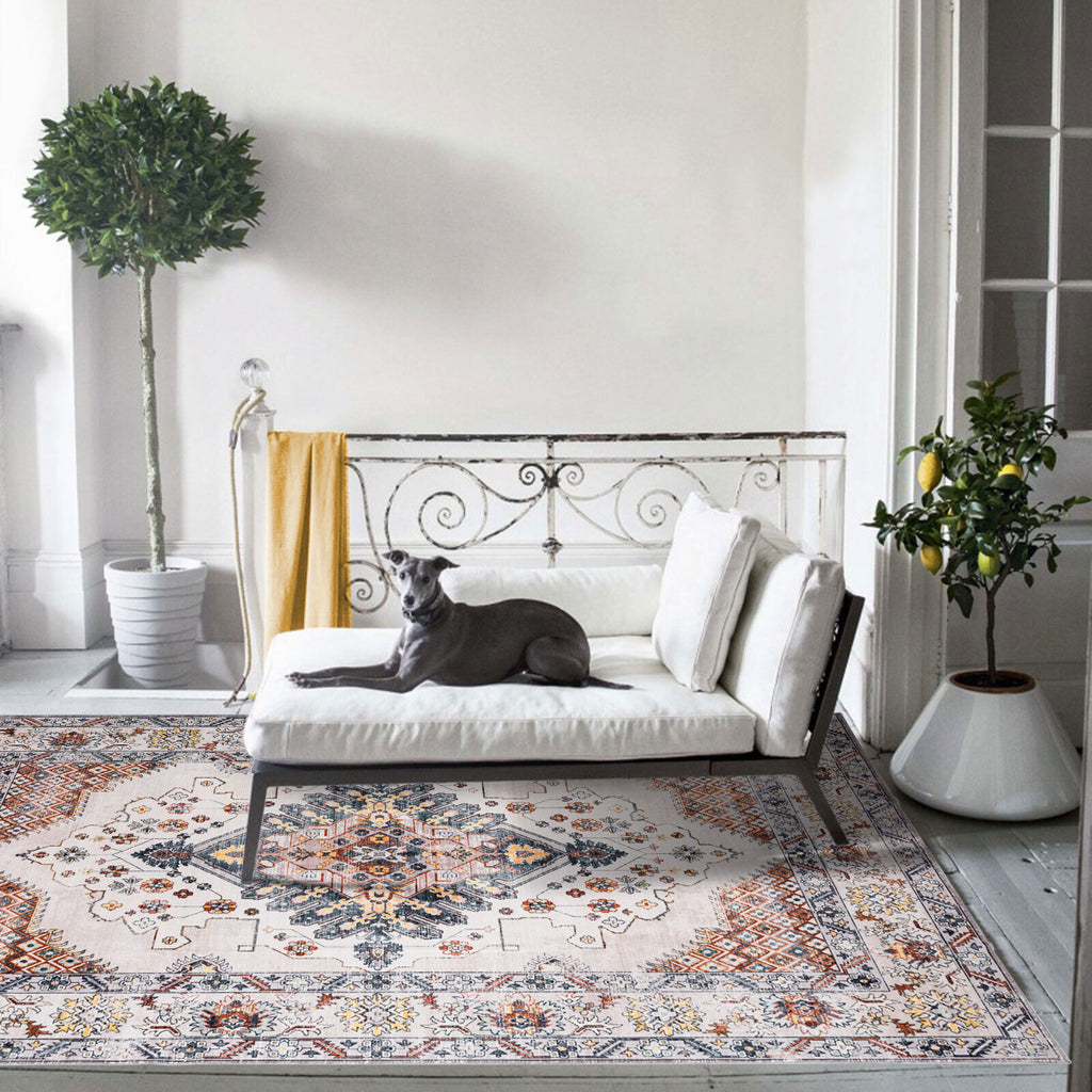 Machine Washable Rugs