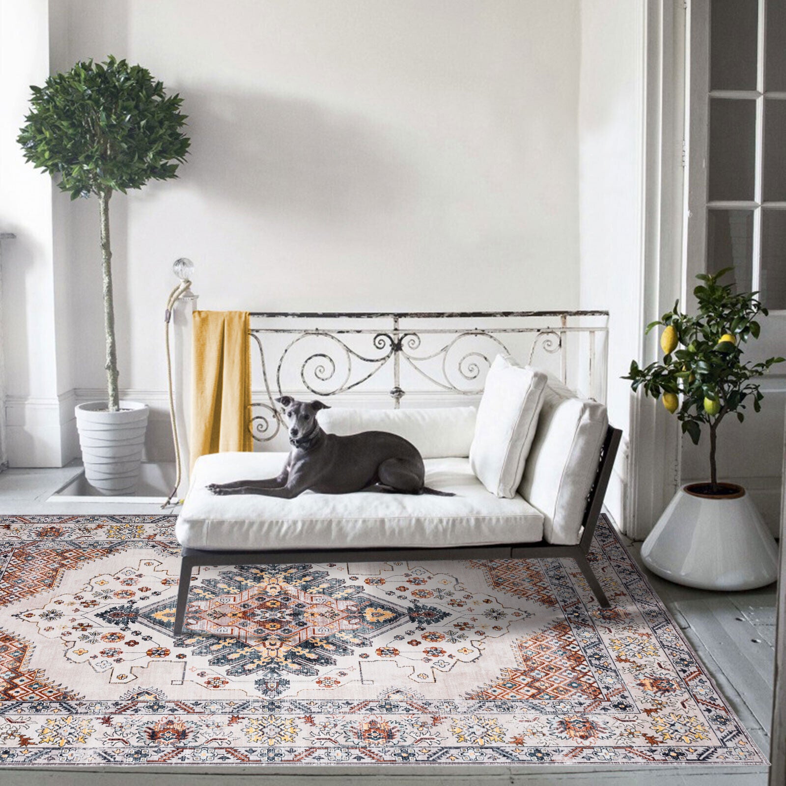 Machine Washable Rugs